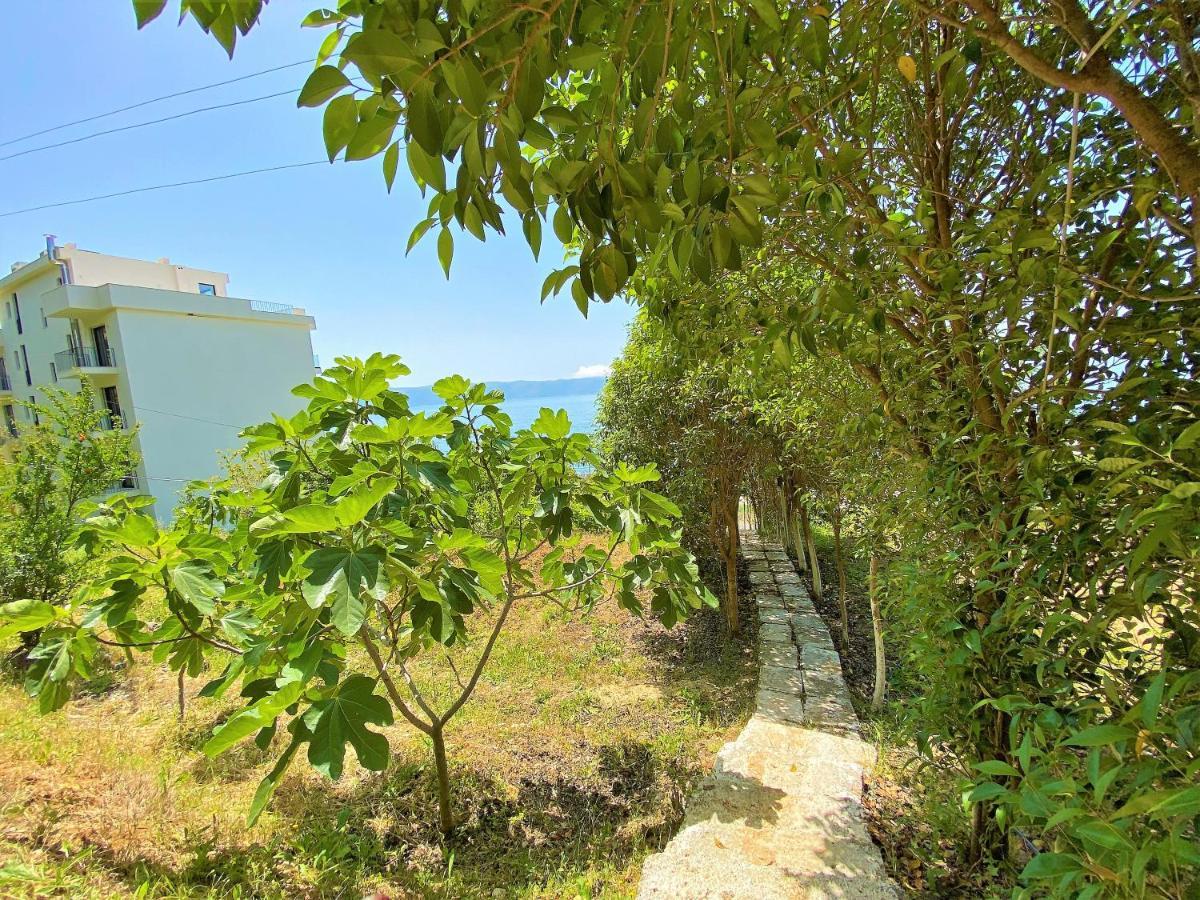 Ramo'S Hilltop Retreat With Kitchenette And Patio - 1St Vlore Exterior photo